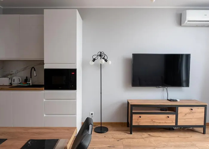 Wiktoryn Comfortable Two-Room Apartment